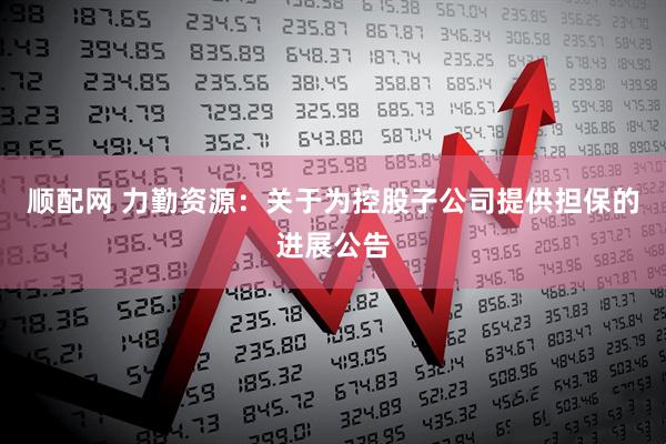顺配网 力勤资源：关于为控股子公司提供担保的进展公告