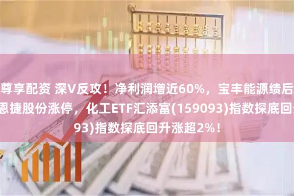 尊享配资 深V反攻！净利润增近60%，宝丰能源绩后涨超5%，恩捷股份涨停，化工ETF汇添富(159093)指数探底回升涨超2%！