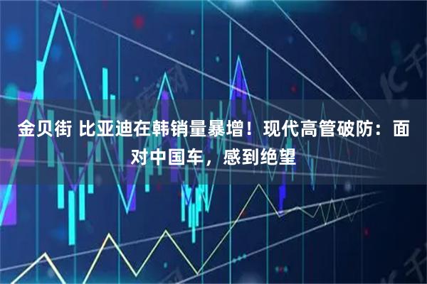 金贝街 比亚迪在韩销量暴增!现代高管破防:面对中国车,感到绝望