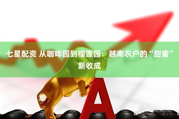 七星配资 从咖啡园到榴莲园：越南农户的“甜蜜”新收成